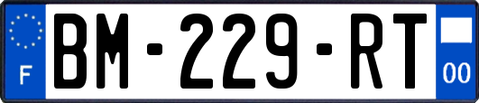 BM-229-RT