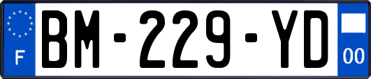 BM-229-YD
