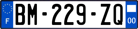 BM-229-ZQ