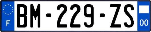 BM-229-ZS