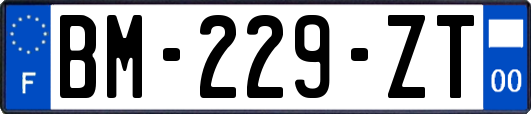 BM-229-ZT