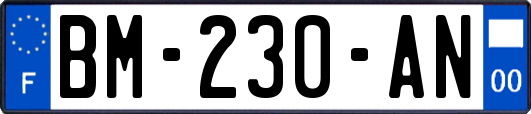 BM-230-AN