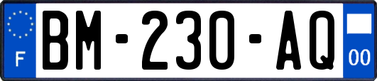 BM-230-AQ