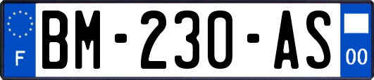 BM-230-AS