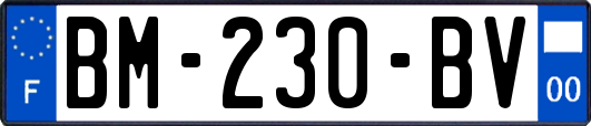 BM-230-BV