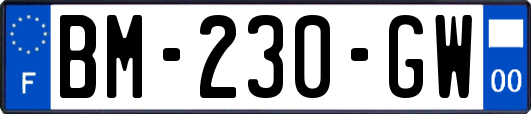 BM-230-GW