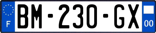 BM-230-GX