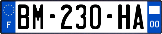 BM-230-HA