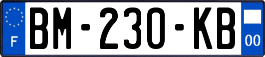 BM-230-KB