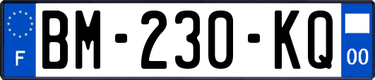 BM-230-KQ