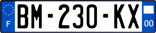 BM-230-KX