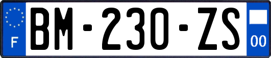 BM-230-ZS