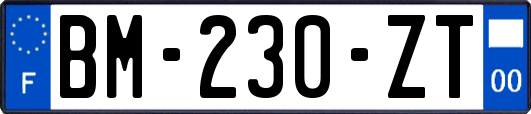 BM-230-ZT