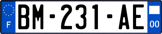 BM-231-AE