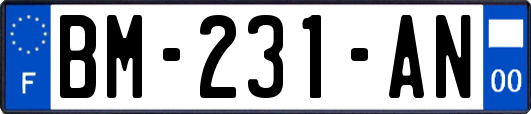 BM-231-AN