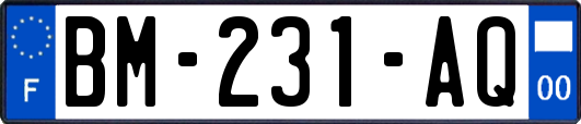 BM-231-AQ