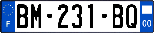 BM-231-BQ