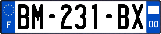 BM-231-BX