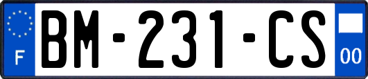 BM-231-CS