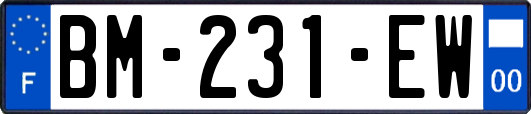 BM-231-EW