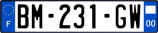 BM-231-GW