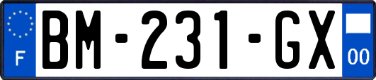 BM-231-GX