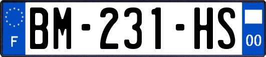 BM-231-HS