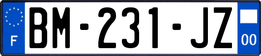 BM-231-JZ