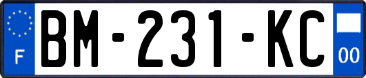 BM-231-KC