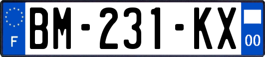 BM-231-KX