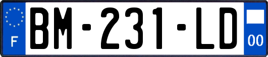 BM-231-LD