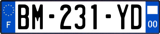 BM-231-YD