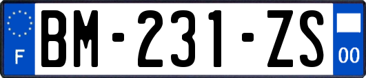 BM-231-ZS