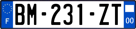 BM-231-ZT