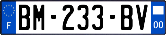 BM-233-BV