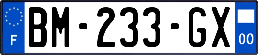 BM-233-GX