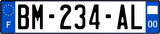 BM-234-AL