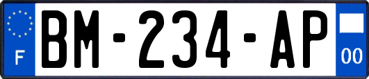 BM-234-AP