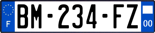 BM-234-FZ