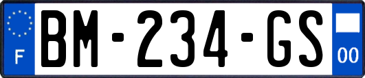 BM-234-GS