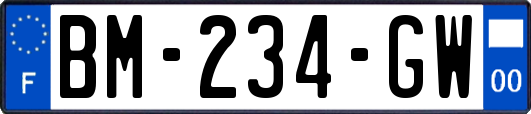 BM-234-GW