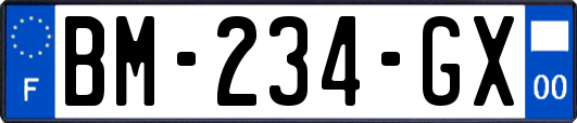 BM-234-GX