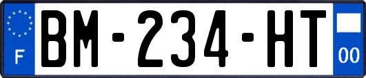 BM-234-HT