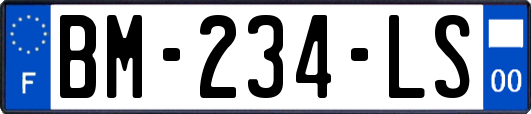 BM-234-LS