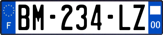 BM-234-LZ