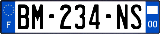 BM-234-NS