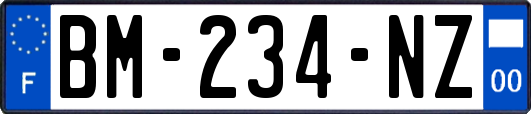 BM-234-NZ