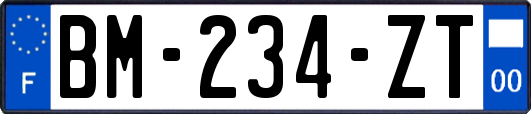 BM-234-ZT