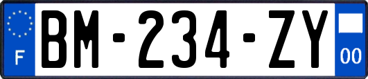 BM-234-ZY