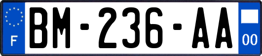 BM-236-AA